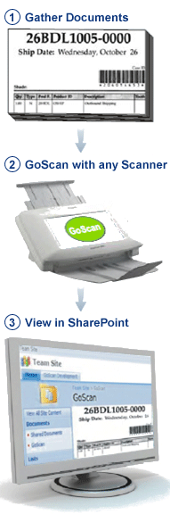goscan steps
